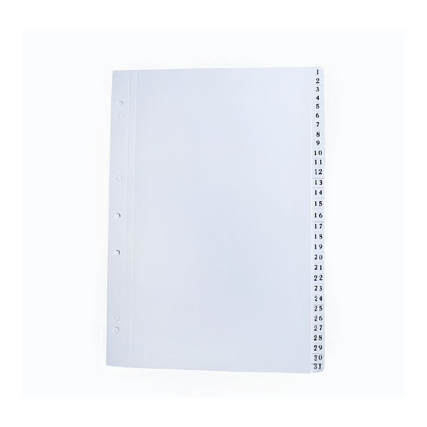 SEPARADOR OFICIO DIARIO NUMERICO JS 1-31
