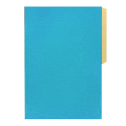 CARPETA CARTULINA PIG. CELESTE BRILLANTE BUHO