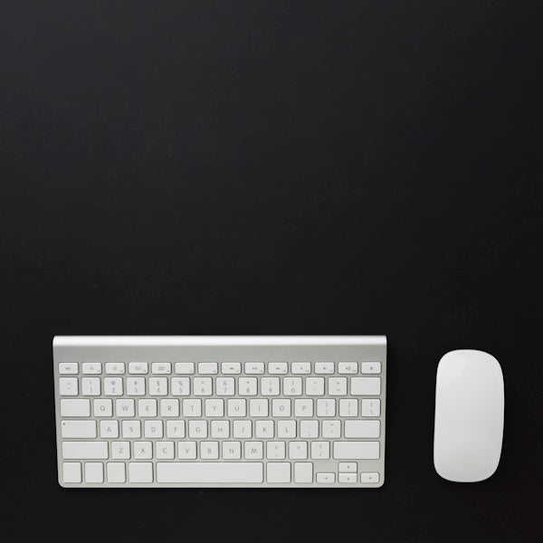 Mouse y Teclados